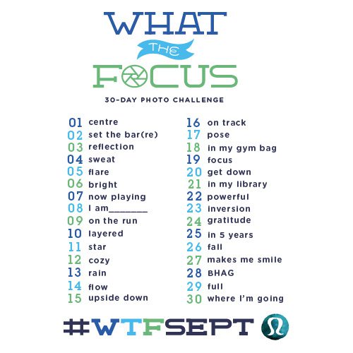 WTF-500x500